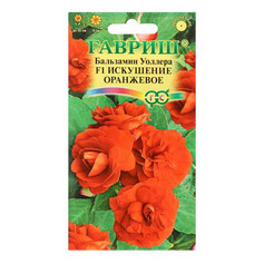 Семена Бальзамин Искушение оранжевое (Уоллера) 5шт